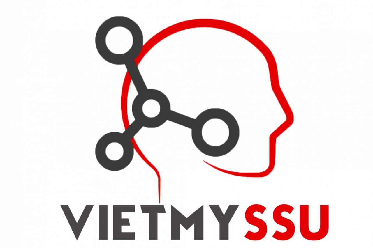 Logo Công ty TNHH Việt Mỹ - SSU